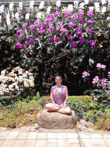 17361396_1755008274827730_1845241895_n